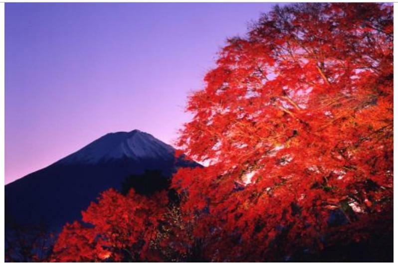 Willa Erable Mt.Fuji "Kaze" Fujikawaguchiko Zewnętrze zdjęcie